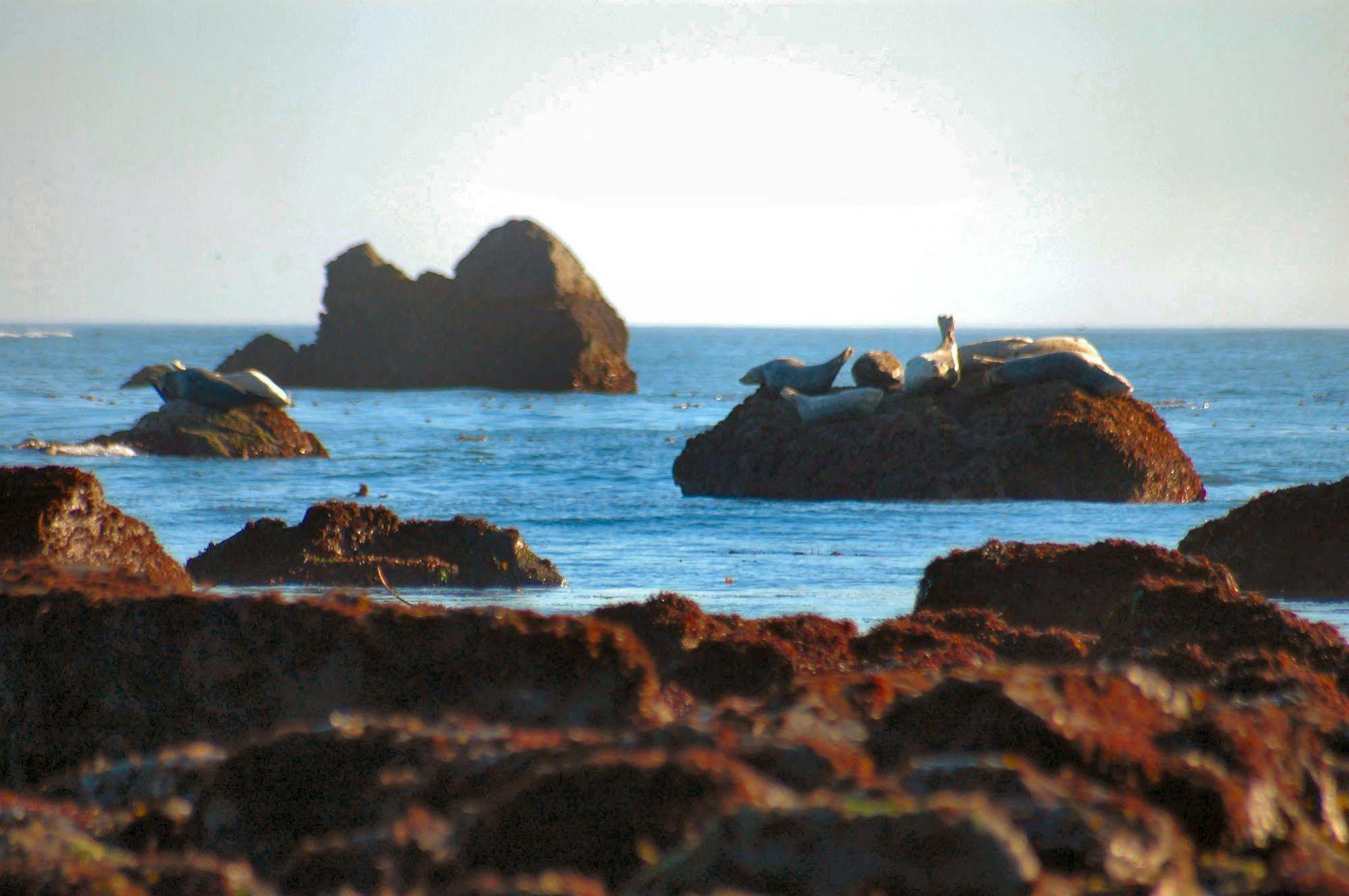Oceanfront Lodge Crescent City Exteriör bild